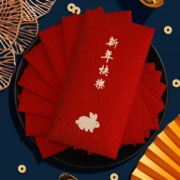 概率券：晨享 2023新款 创意红包利是封 6个装