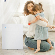 Blueair 瑞典布鲁雅尔 270e Slim 家用空气净化器  可24期免息