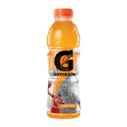 佳得乐 GATORADE 橙味 功能运动饮料整箱 600ml*15瓶 跑步健身 百事出品