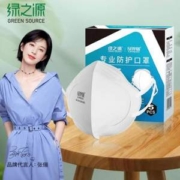 现货速发，绿之源 KN95型专业防护口罩 100只