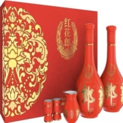 88VIP：LANGJIU 郎酒 红花郎 红十 第四代 53%vol 酱香型白酒 500ml*2瓶 双支装