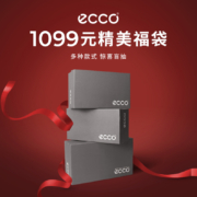 【双12】ECCO爱步 鞋子福袋1099（每个福袋内含2双鞋子）