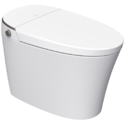 恒洁(HEGII)智能马桶坐便器Qx21 低水压新生代虹吸式多功能水净釉面抗菌喷嘴马桶HC0972 HE851A（坑距305mm）