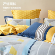 百丽丝 磨毛抗菌四件套居家秋冬保暖床单被套床品套件 卡斯尔【北欧系列】 【四件套】1.5m床，适配200*230cm被芯