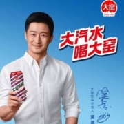 内蒙特产，大窑 嘉宾/果味/荔爱 怀旧易拉罐碳酸汽水500mL*8罐*2箱