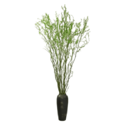 纵观天下【新春装饰】雪柳鲜枝干支枝重瓣水培植物室内花卉绿植盆栽喷雪花 雪柳55cm  15枝 不含盆