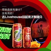 嘉士伯旗下，乐堡 清爽啤酒 500ml*24听