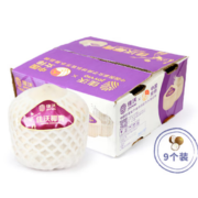 JAVA 佳沃 Joyvio 佳沃 泰国进口椰青香水椰子 9个装 大果900g+