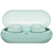 索尼（SONY） WF-C500真无线蓝牙耳机 IPX4防水防汗 支持通话蓝牙5.0苹果安卓手机适用 冰绿