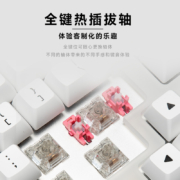 Akko ACR pro59机械键盘Gasket结构有线RGB热插拔客制化套件68键