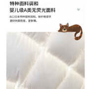 AIDLI 羽绒被A类抗菌95%白鹅绒加厚双人保暖酒店鹅绒被芯 A类抗菌95白鹅绒冬被 200*230cm(1.5/1.8m床)