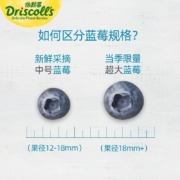 怡颗莓（Driscoll's Only the Finest Berries）云南蓝莓 新鲜水果 当季蓝莓 生鲜水果 浆果礼盒 125g/盒 【当季限量】中果6盒