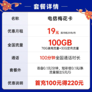 中国电信 电信流量卡5G手机卡不限速纯流量上网卡低月租电话卡电信星卡号码卡全国通用 梅花卡19元月租100G+100分钟-LZK