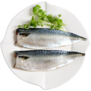 渔港 国产冷冻渤海青花鱼片 500g 袋装 去中骨  海鲜水产