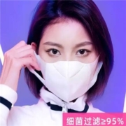 京喜APP：预售 爹地宝贝 申唯口罩 3D立体一次性防护口罩  KN95 40片