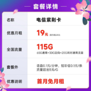 中国电信 电信流量5G卡手机卡不限速纯流量号码卡上网卡低月租电话卡全国通用校园卡 紫荆卡19元月租115G-ZJK