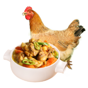 温氏 供港三黄鸡1kg 农家土鸡慢养走地鸡整只鸡 红烧白切盐焗煲汤食材