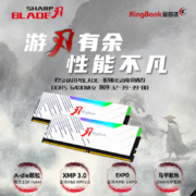 金百达（KINGBANK）32GB(16GBX2)套装 DDR5 6400 台式机内存条-刃系列 RGB灯条海力士A-die颗粒