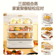 天际 DZG-D18A 三层多功能电蒸锅 18L
