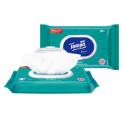 得宝（TEMPO）湿巾 抽取式40片*1包温和不刺激 医护级认证杀菌湿纸巾 湿巾小包