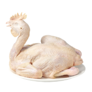 易盛玖 灰芦花老母鸡 1kg 整鸡 走地鸡 鸡肉 冷冻 月子补品月子鸡汤 炖汤食材