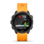 佳明（GARMIN） Forerunner245户外运动智能运动手表血氧GPS跑步男女腕表 forerunner245活力橙