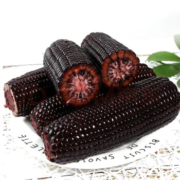 守望乡村 黑糯玉米棒 7支（200-260g）
