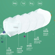 振盾KN95一次性防护口罩成人透款气防雾霾飞沫口水五层熔喷