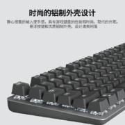 罗技（Logitech） K845机械键盘 有线键盘 办公键盘 全尺寸 单光  TTC轴 K845TTC-红轴