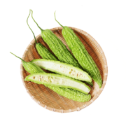 京百味 广东珍珠苦瓜 750g 简装 新鲜蔬菜