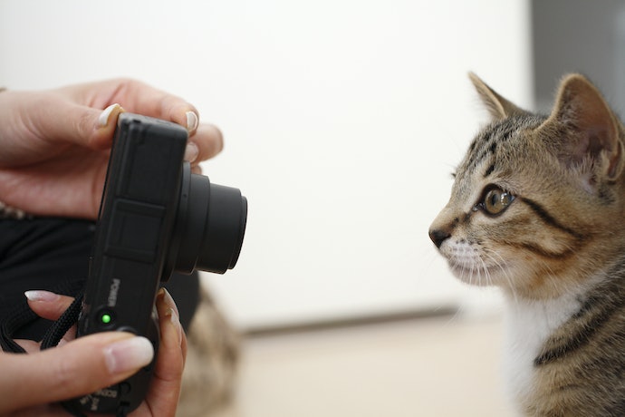 如何选择Canon相机？Canon相机的选购指南