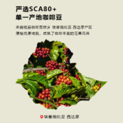 燃喵埃塞俄比亚新鲜烘焙现磨深烘挂耳咖啡美式手冲黑咖啡10片*10g
