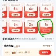 限用户：京东 满1.01-1元 支付券