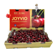 佳沃（joyvio）智利进口车厘子J级 5kg 礼盒装 果径约26-28mm 年货水果礼盒
