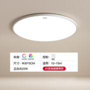 AUX 奥克斯 单色白光三防吸顶灯 22W 30cm