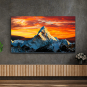 PLUS会员！TCL 75V8E-S 液晶电视 75英寸 4K