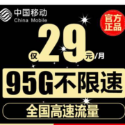中国移动 移动天际卡 95G全国流量  29元/月