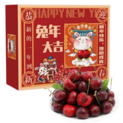 PLUS会员：智利车厘子JJJ级 5斤巨无霸礼盒