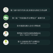 岂茗 ·武夷山岩茶大红袍肉桂单枞名丛乌龙茗茶茶叶年货礼盒 大红袍 礼盒装250g