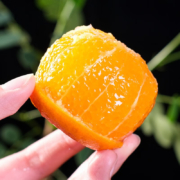 概率券、京东特价APP：果果牛 麻阳冰糖橙 大果 9斤装