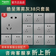 施耐德正品皓呈系列薄雾灰全屋套餐面板五孔插座开关插座38只装