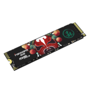 梵想（FANXIANG）1TB SSD固态硬盘 精选长江存储晶圆 国产TLC颗粒 M.2接口(NVMe协议) S500PRO