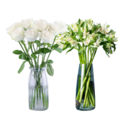 简值了京东鲜花 雪山玫瑰10枝+水仙百合10枝组合款鲜花生日礼物