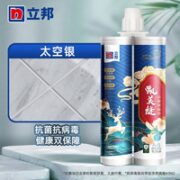 立邦 美缝剂 420g 太空银