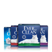 【自营】EverClean铂钻猫砂25磅膨润土活性炭猫沙10kg除臭铁锤