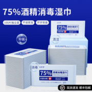 益颜季 杀菌消毒便携式小包 100片
