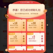 即享好券：京东 48元消费补贴 含满40-3/300-18/600-30元券等