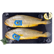 三都港 冷冻三去大黄鱼1kg/2条装 黄花鱼 海鱼 生鲜 鱼类 年货 海鲜水产