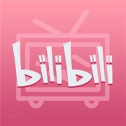 bilibili 哔哩哔哩 大会员12个月年卡