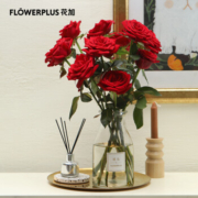 FlowerPlus 花加 单品鲜花 产地直发  玫瑰10枝